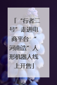“行者二号”走进电商平台 “河南造”人形机器人线上开售