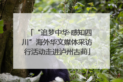 “追梦中华·感知四川”海外华文媒体采访行活动走进泸州古蔺