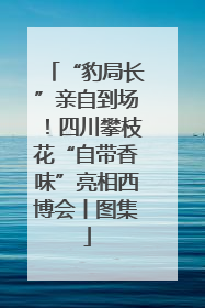 “豹局长”亲自到场！四川攀枝花“自带香味”亮相西博会丨图集