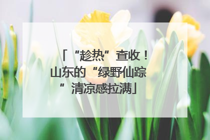 “趁热”查收！山东的“绿野仙踪”清凉感拉满