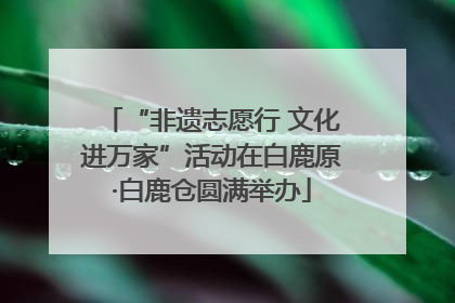 “非遗志愿行 文化进万家”活动在白鹿原·白鹿仓圆满举办
