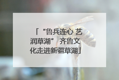 “鲁兵连心 艺润草湖” 齐鲁文化走进新疆草湖