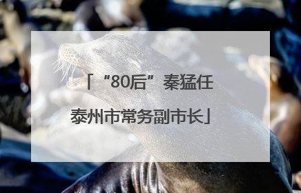 “80后”秦猛任泰州市常务副市长