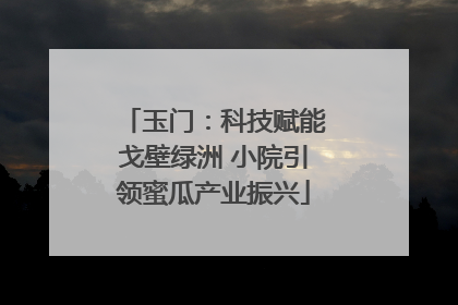 玉门：科技赋能戈壁绿洲 小院引领蜜瓜产业振兴