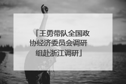 王勇带队全国政协经济委员会调研组赴浙江调研