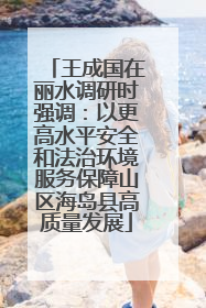 王成国在丽水调研时强调：以更高水平安全和法治环境服务保障山区海岛县高质量发展