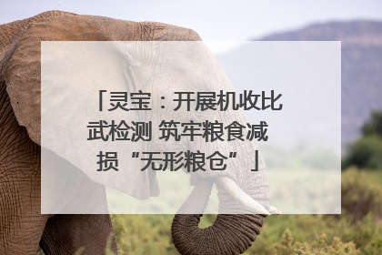 灵宝：开展机收比武检测 筑牢粮食减损“无形粮仓”