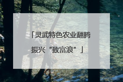 灵武特色农业翻腾振兴“致富浪”