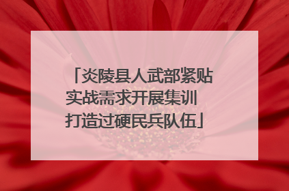 炎陵县人武部紧贴实战需求开展集训 打造过硬民兵队伍