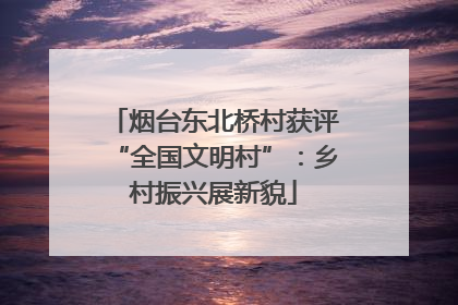 烟台东北桥村获评“全国文明村”：乡村振兴展新貌
