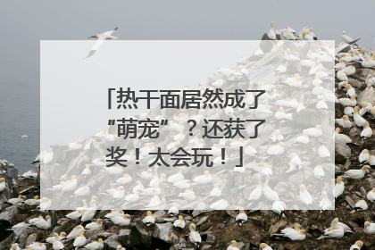 热干面居然成了“萌宠”？还获了奖！太会玩！