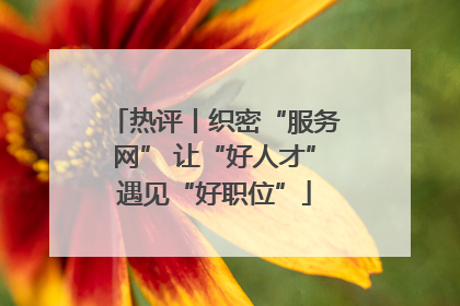 热评丨织密“服务网” 让“好人才”遇见“好职位”