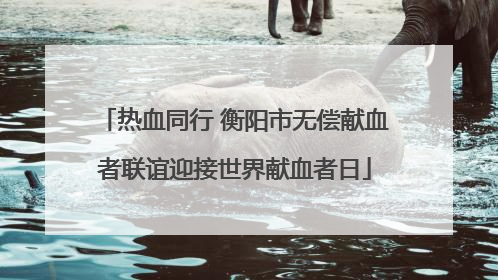 热血同行 衡阳市无偿献血者联谊迎接世界献血者日