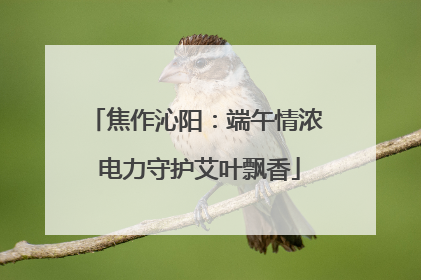 焦作沁阳：端午情浓 电力守护艾叶飘香