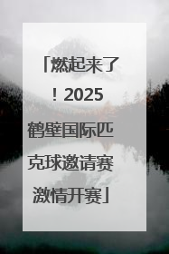 燃起来了！2025鹤壁国际匹克球邀请赛激情开赛