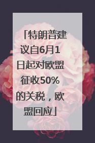 特朗普建议自6月1日起对欧盟征收50%的关税，欧盟回应