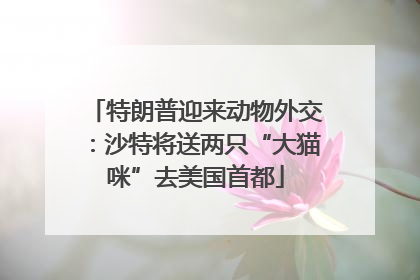 特朗普迎来动物外交：沙特将送两只“大猫咪”去美国首都