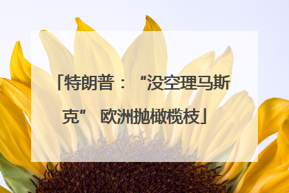 特朗普：“没空理马斯克” 欧洲抛橄榄枝