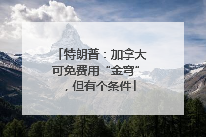 特朗普：加拿大可免费用“金穹”，但有个条件