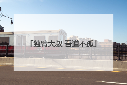 独臂大叔 吾道不孤
