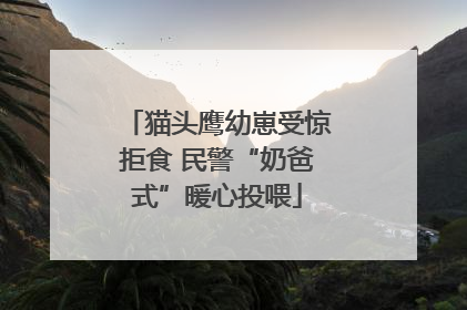 猫头鹰幼崽受惊拒食 民警“奶爸式”暖心投喂
