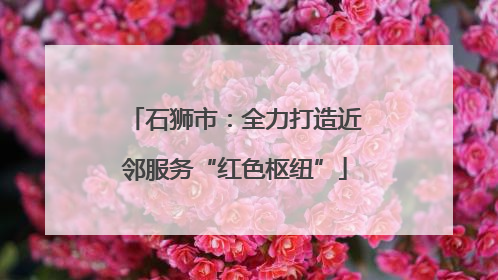 石狮市：全力打造近邻服务“红色枢纽”