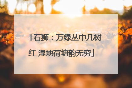 石狮：万绿丛中几树红 湿地荷塘韵无穷