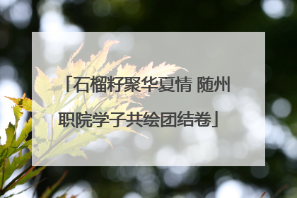石榴籽聚华夏情 随州职院学子共绘团结卷