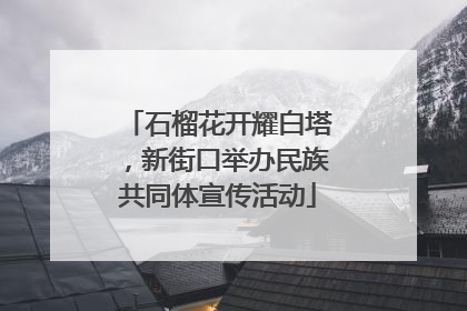 石榴花开耀白塔，新街口举办民族共同体宣传活动