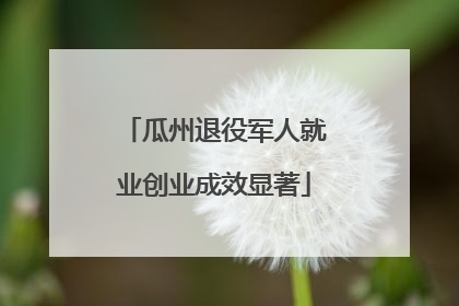 瓜州退役军人就业创业成效显著