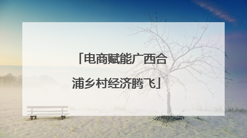 电商赋能广西合浦乡村经济腾飞