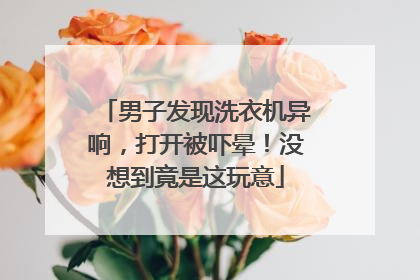 男子发现洗衣机异响，打开被吓晕！没想到竟是这玩意
