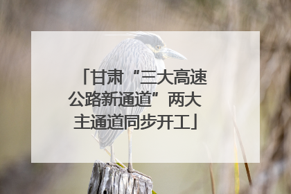 甘肃“三大高速公路新通道”两大主通道同步开工
