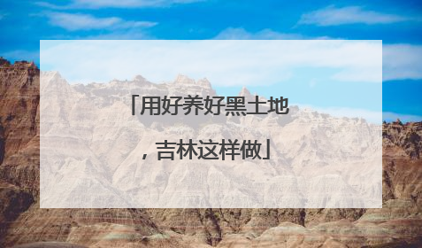 用好养好黑土地，吉林这样做