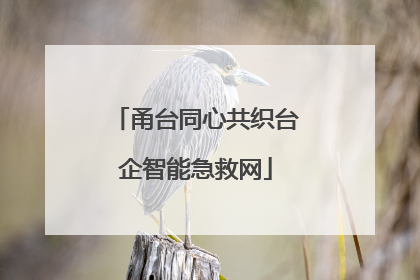 甬台同心共织台企智能急救网