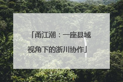 甬江潮：一座县域视角下的浙川协作