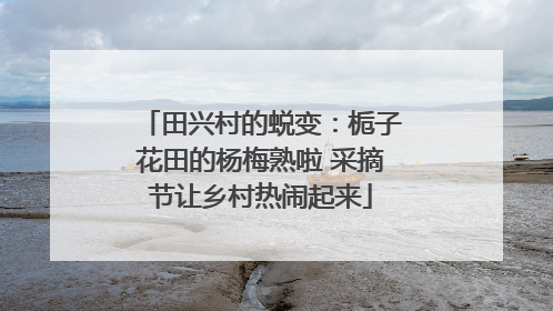 田兴村的蜕变：栀子花田的杨梅熟啦 采摘节让乡村热闹起来