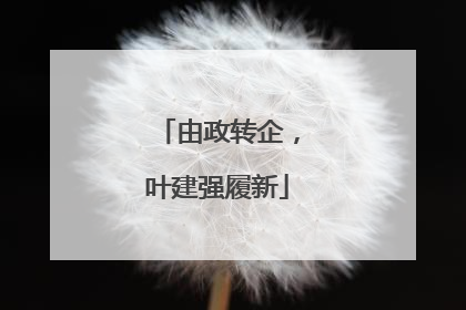 由政转企，叶建强履新