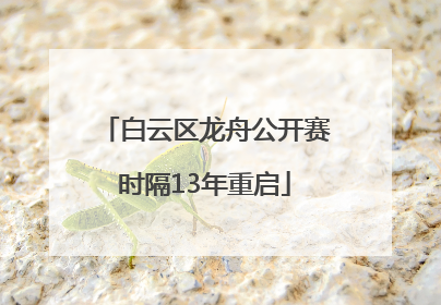白云区龙舟公开赛时隔13年重启