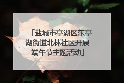 盐城市亭湖区东亭湖街道北林社区开展端午节主题活动