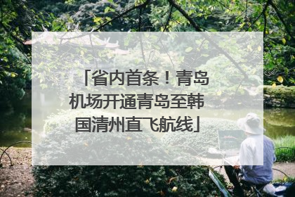 省内首条！青岛机场开通青岛至韩国清州直飞航线