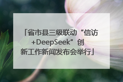 省市县三级联动“信访+DeepSeek”创新工作新闻发布会举行