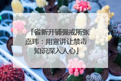 省新开铺强戒所张嘉玮：用宣讲让禁毒知识深入人心