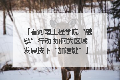 看河南工程学院“融链”行动 如何为区域发展按下“加速键”