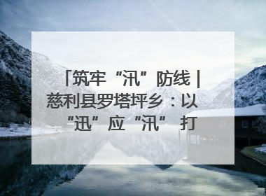 筑牢“汛”防线｜慈利县罗塔坪乡：以“迅”应“汛” 打赢暴雨防御战