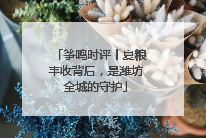 筝鸣时评丨夏粮丰收背后，是潍坊全城的守护