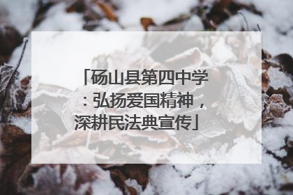 砀山县第四中学：弘扬爱国精神，深耕民法典宣传