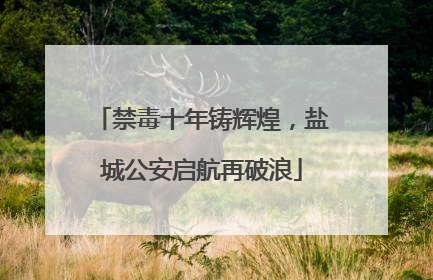 禁毒十年铸辉煌，盐城公安启航再破浪