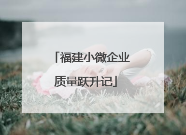 福建小微企业质量跃升记