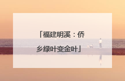 福建明溪：侨乡绿叶变金叶
